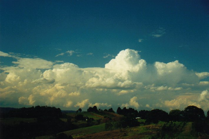thunderstorm cumulonimbus_incus : McLeans Ridges, NSW   23 August 2000