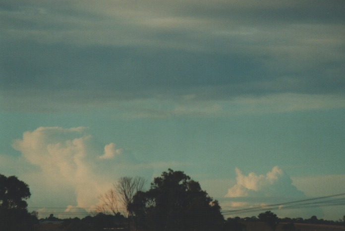 altocumulus altocumulus_cloud : Schofields, NSW   24 August 2000