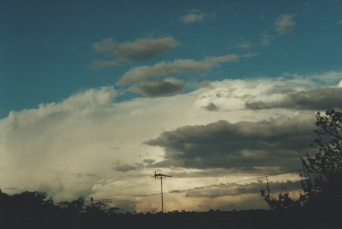 thunderstorm cumulonimbus_incus : Northbridge, NSW   28 August 2000