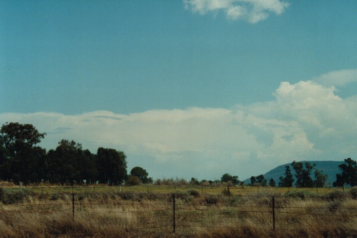 thunderstorm cumulonimbus_incus : Gunnedah, NSW   21 September 2000