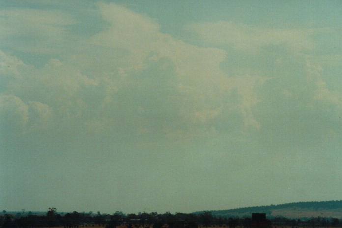 thunderstorm cumulonimbus_calvus : Gunnedah, NSW   21 September 2000