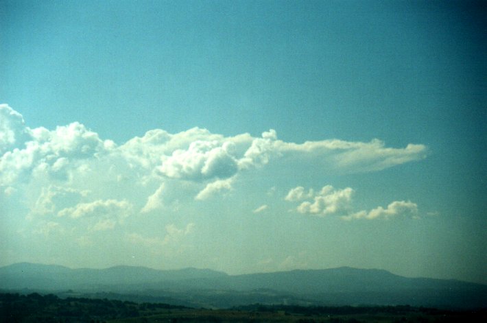 thunderstorm cumulonimbus_incus : McLeans Ridges, NSW   22 September 2000