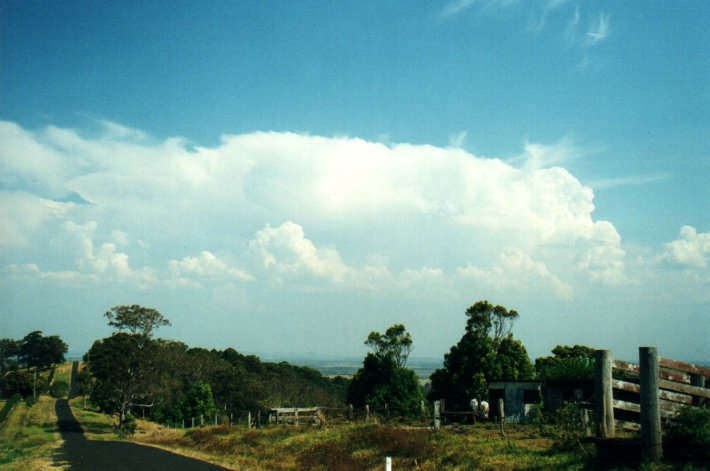 thunderstorm cumulonimbus_incus : Tregeagle, NSW   27 September 2000