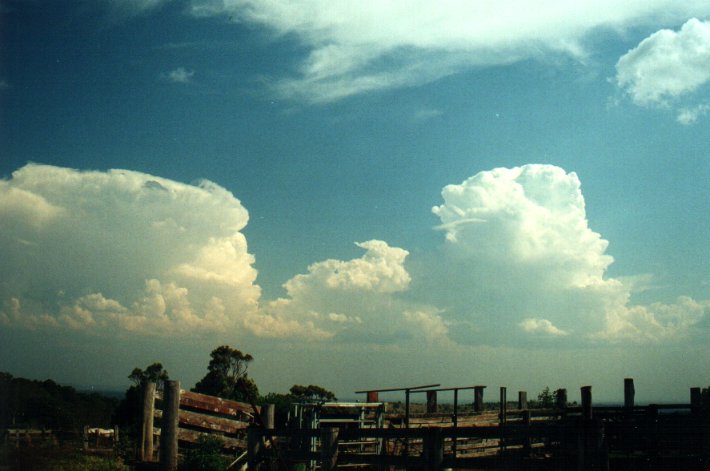 thunderstorm cumulonimbus_incus : Tregeagle, NSW   27 September 2000