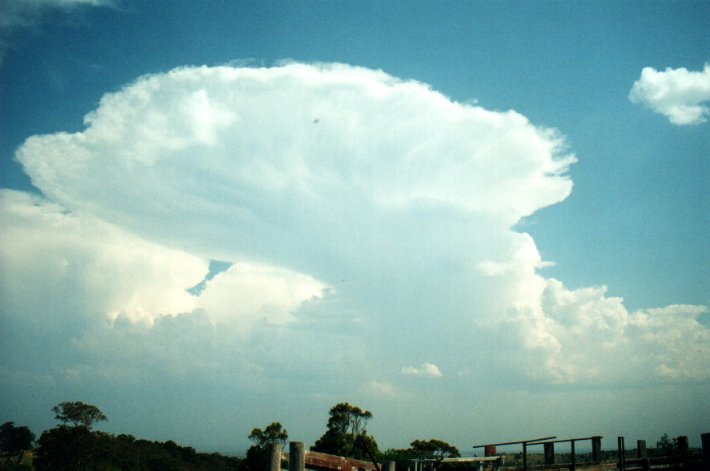 anvil thunderstorm_anvils : Tregeagle, NSW   27 September 2000