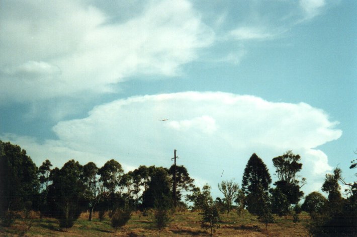 thunderstorm cumulonimbus_incus : McLeans Ridges, NSW   27 September 2000