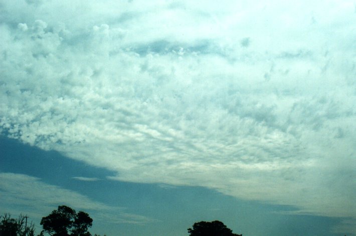 altocumulus castellanus : McLeans Ridges, NSW   1 October 2000