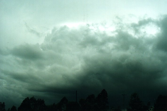 cumulus congestus : McLeans Ridges, NSW   17 October 2000