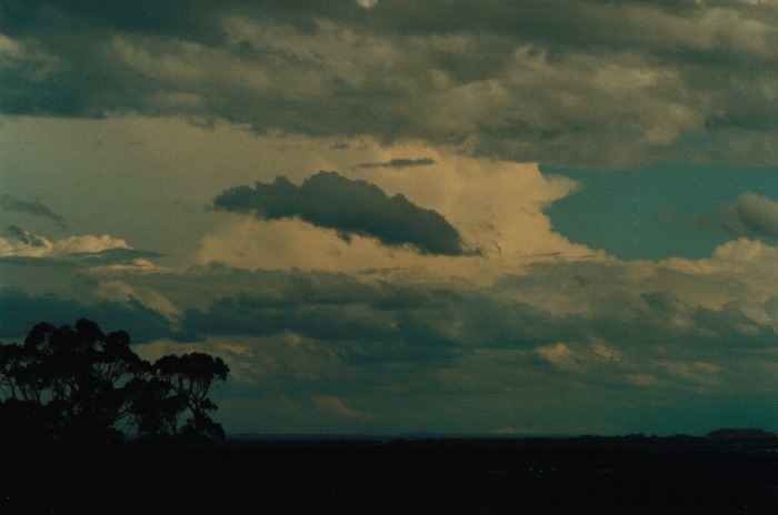thunderstorm cumulonimbus_incus : Rooty Hill, NSW   19 October 2000