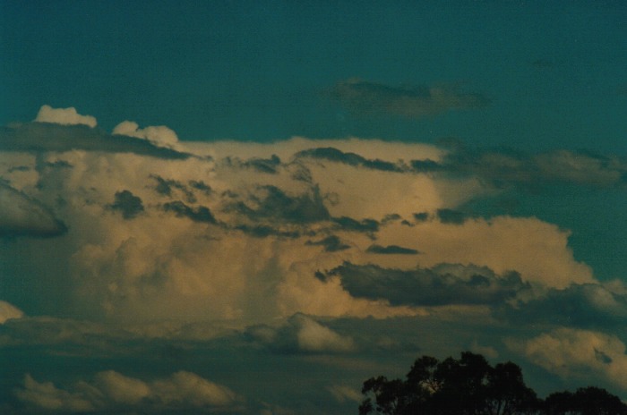 cumulus humilis : Kemps Creek, NSW   19 October 2000