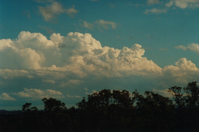 thunderstorm cumulonimbus_calvus : Kemps Creek, NSW   19 October 2000