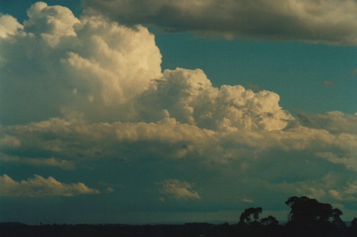 updraft thunderstorm_updrafts : Kemps Creek, NSW   19 October 2000