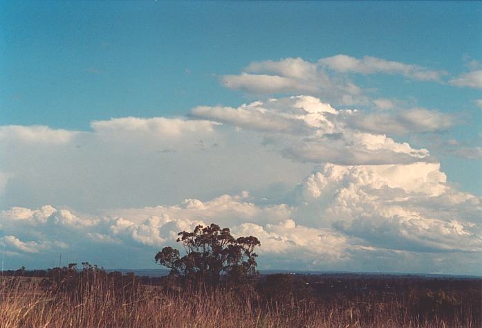 thunderstorm cumulonimbus_incus : Kemps Creek, NSW   19 October 2000
