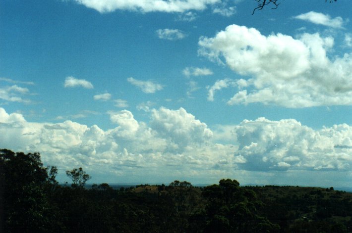 cumulus congestus : Tregeagle, NSW   25 October 2000