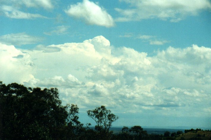 thunderstorm cumulonimbus_incus : Tregeagle, NSW   25 October 2000