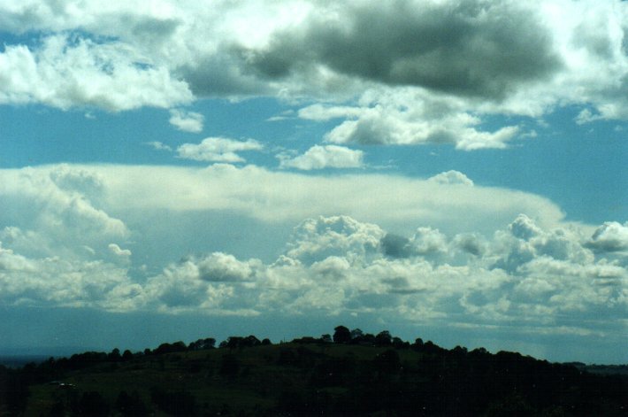 thunderstorm cumulonimbus_incus : Tregeagle, NSW   25 October 2000