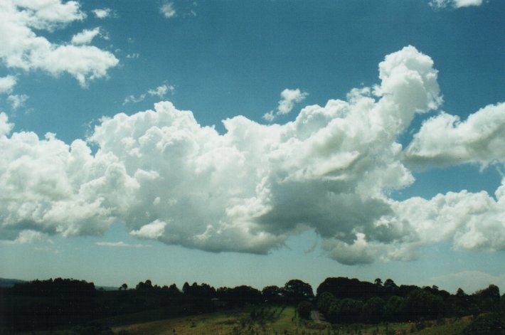 cumulus congestus : McLeans Ridges, NSW   26 October 2000