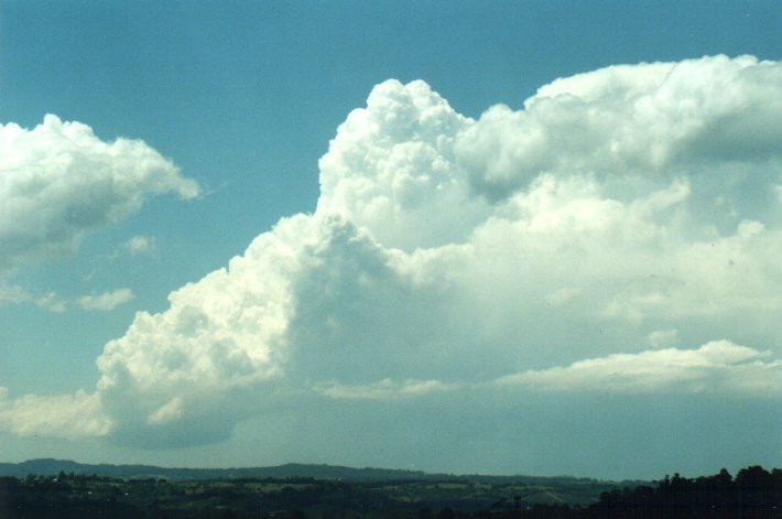 updraft thunderstorm_updrafts : McLeans Ridges, NSW   26 October 2000