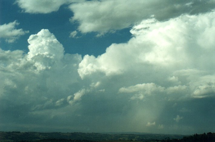 thunderstorm cumulonimbus_calvus : McLeans Ridges, NSW   26 October 2000