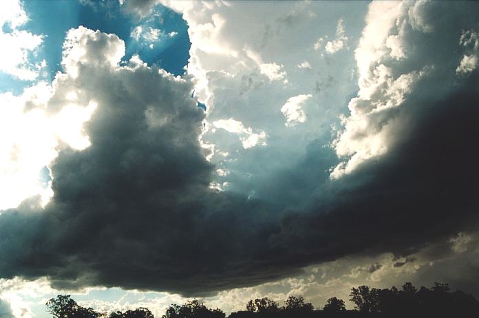 cumulonimbus thunderstorm_base : S of Murrurundi, NSW   3 November 2000