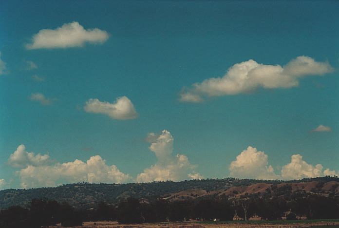 cumulus humilis : S of Bingara, NSW   4 November 2000