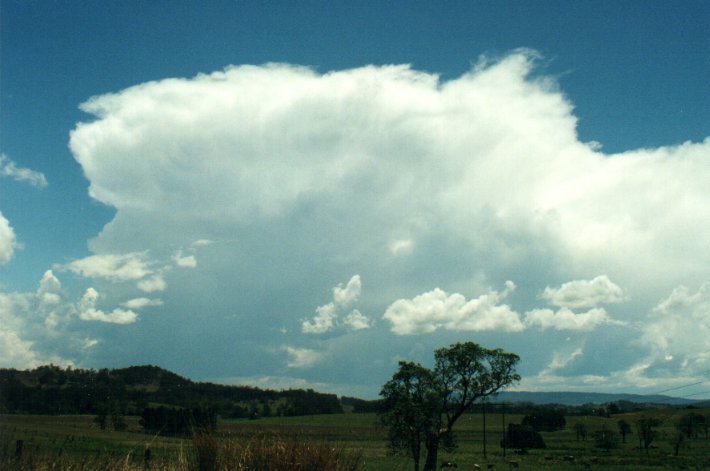thunderstorm cumulonimbus_incus : Piora, NSW   4 November 2000