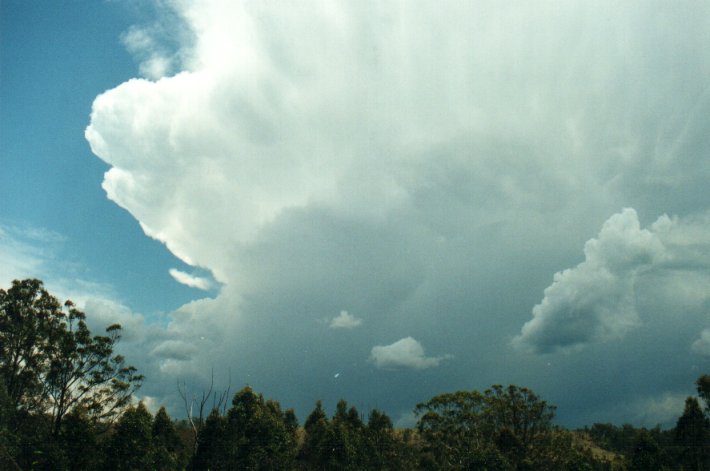 thunderstorm cumulonimbus_incus : Hogarth Range, NSW   4 November 2000
