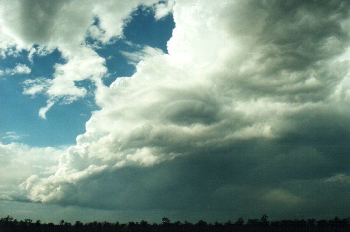 thunderstorm cumulonimbus_incus : Casino, NSW   4 November 2000