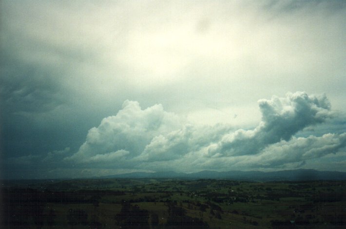 cumulus congestus : McLeans Ridges, NSW   4 November 2000