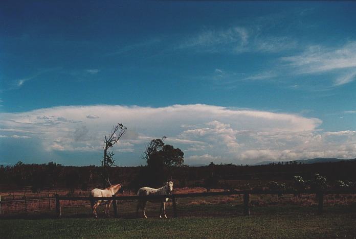 thunderstorm cumulonimbus_incus : Corindi Beach, NSW   5 November 2000