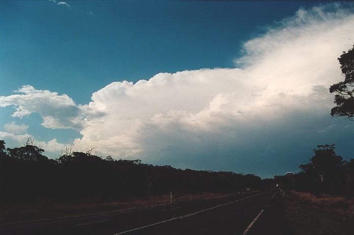 cumulonimbus supercell_thunderstorm : Near Woolgoolga, NSW   5 November 2000