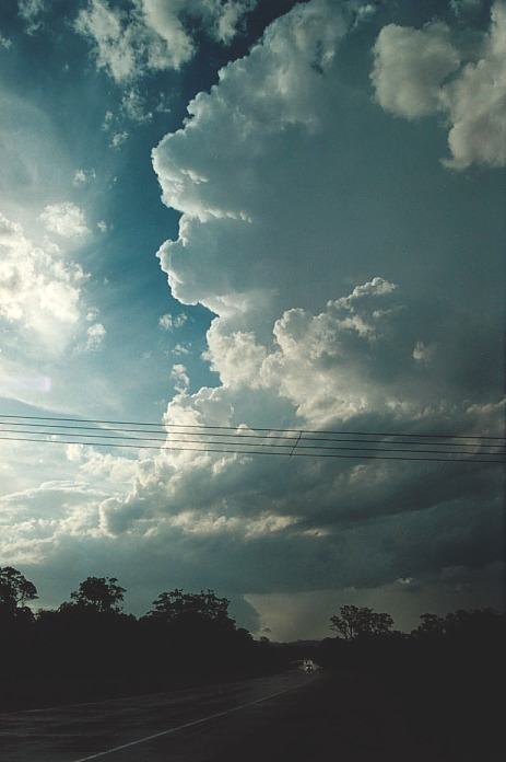 thunderstorm cumulonimbus_incus : S of Macksville, NSW   5 November 2000