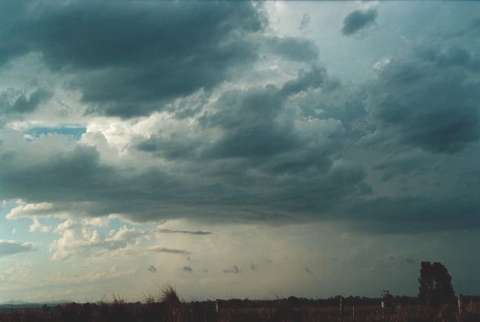 cumulonimbus thunderstorm_base : N of Kempsey, NSW   5 November 2000