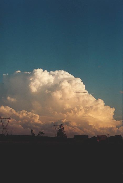 pileus pileus_cap_cloud : near Port Macquarie, NSW   5 November 2000