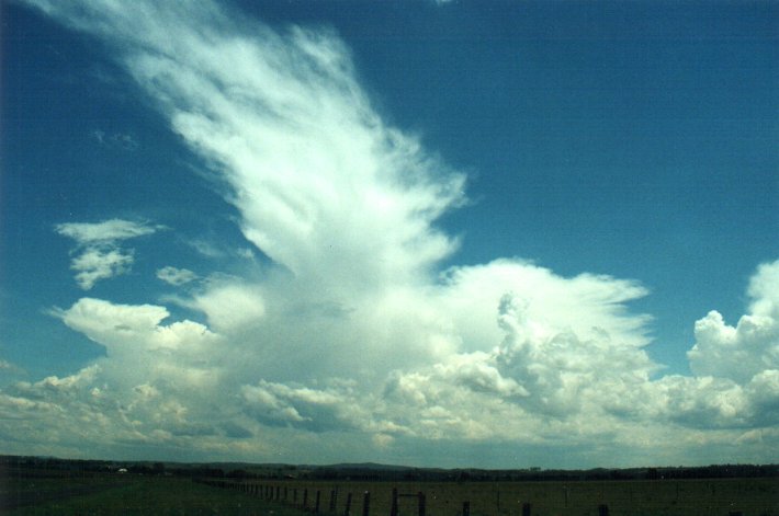 cumulus congestus : N of Casino, NSW   5 November 2000