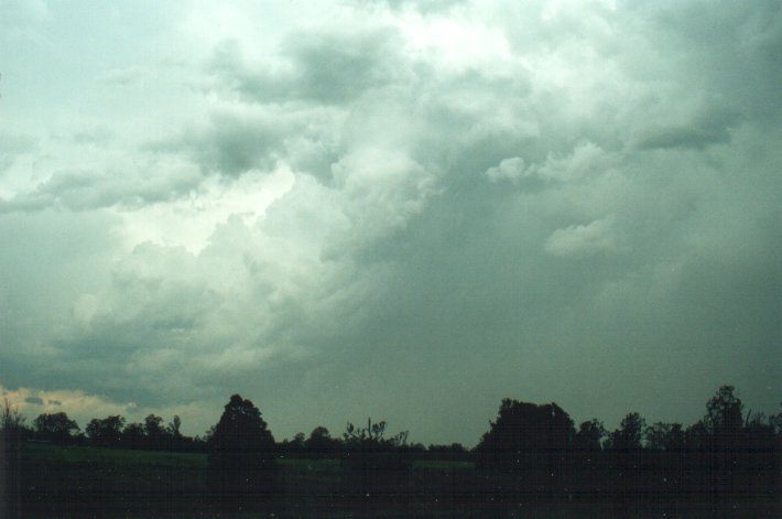 thunderstorm cumulonimbus_calvus : S of Kyogle, NSW   5 November 2000