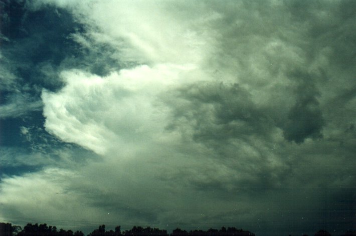 thunderstorm cumulonimbus_incus : McLeans Ridges, NSW   6 November 2000