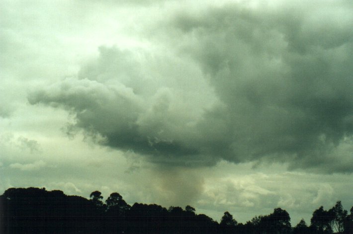 cumulus pyrocumulus : McLeans Ridges, NSW   11 November 2000