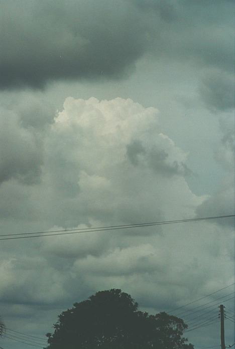 cumulus congestus : Schofields, NSW   12 November 2000