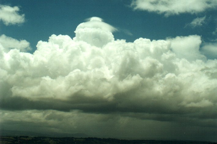 pileus pileus_cap_cloud : near Lismore, NSW   12 November 2000
