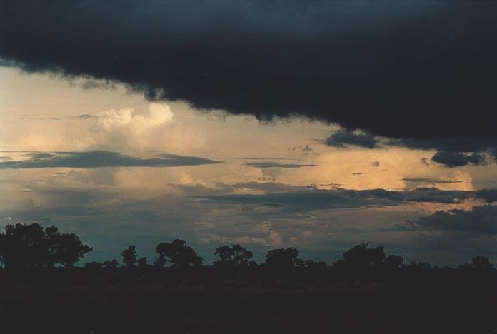 thunderstorm cumulonimbus_incus : N of Bourke, NSW   19 November 2000