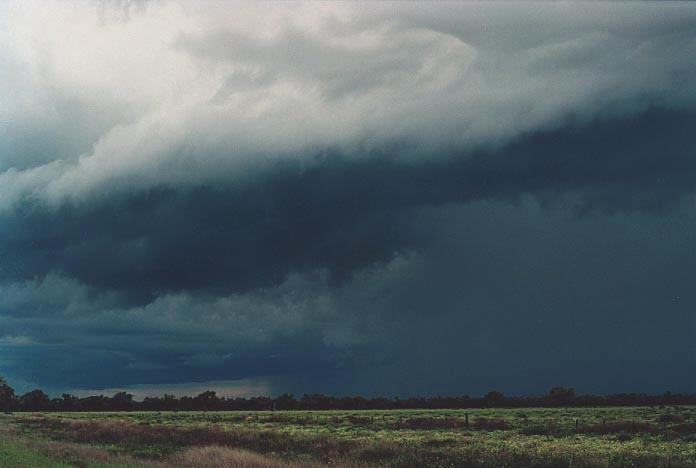 raincascade precipitation_cascade : 70km N of Bourke, NSW   19 November 2000
