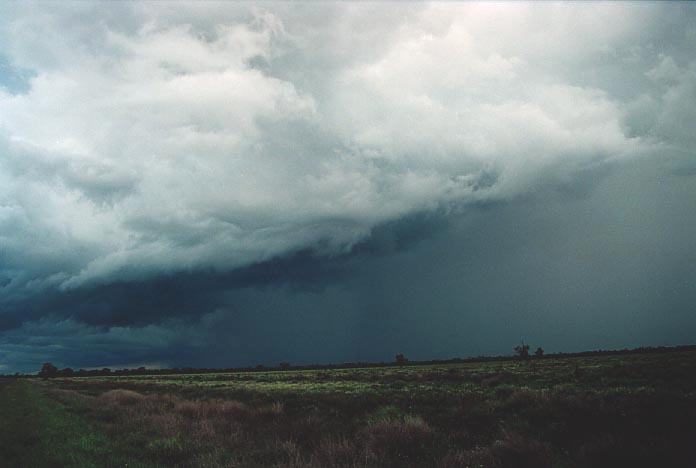 raincascade precipitation_cascade : 70km N of Bourke, NSW   19 November 2000