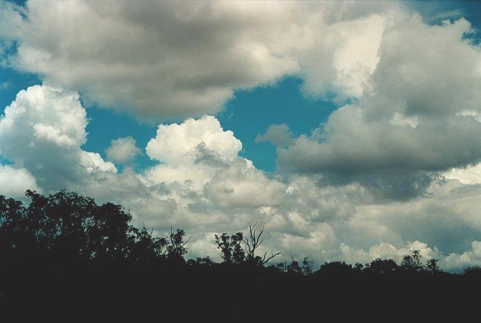 thunderstorm cumulonimbus_calvus : 40km E of Charleville, Qld   20 November 2000