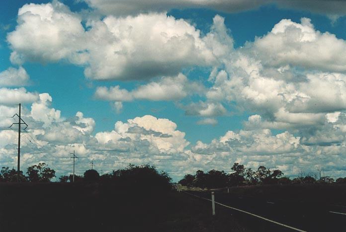 cumulus mediocris : 50km W of Mitchell, Qld   20 November 2000