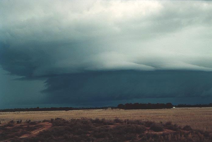 wallcloud thunderstorm_wall_cloud : W of Chinchilla, Qld   20 November 2000