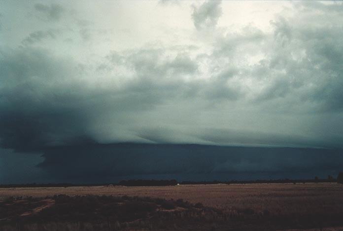 cumulonimbus supercell_thunderstorm : W of Chinchilla, Qld   20 November 2000