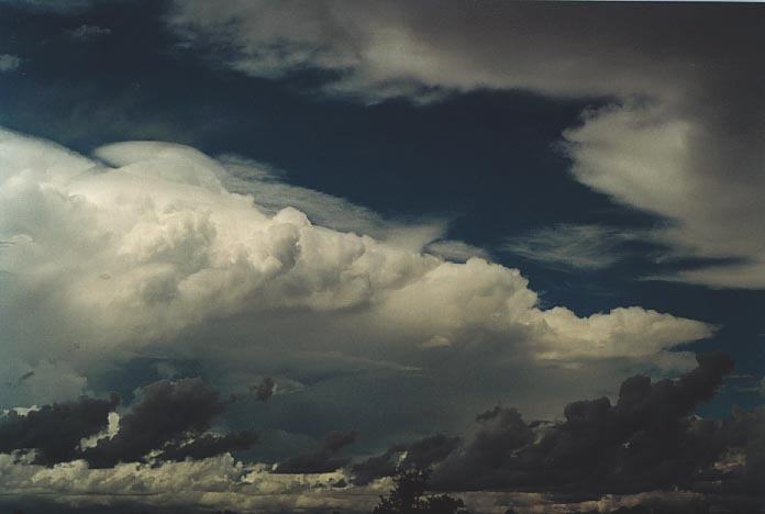 thunderstorm cumulonimbus_incus : 105km N of Miles, Qld   21 November 2000