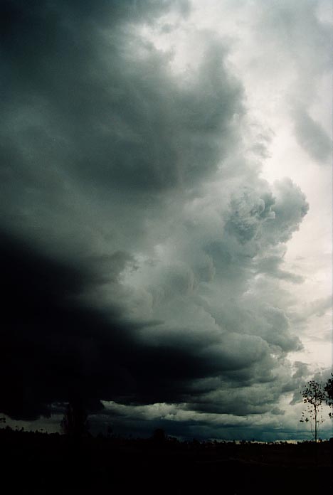 updraft thunderstorm_updrafts : near Taroom, Qld   21 November 2000