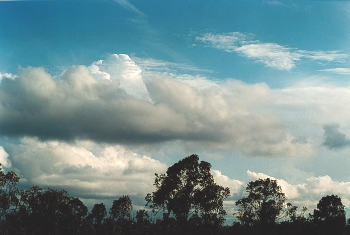 thunderstorm cumulonimbus_calvus : Anakie, Qld   22 November 2000